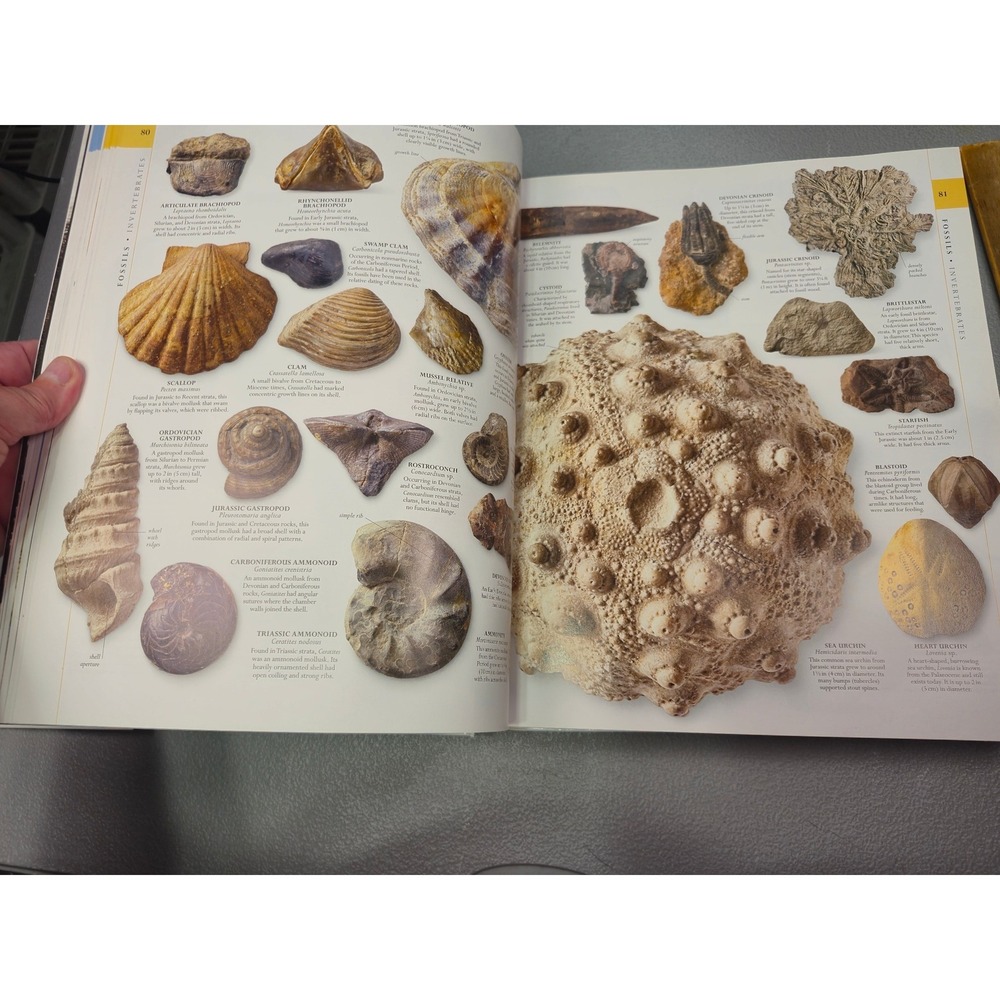 Smithsonian Natural History The Ultimate Visual Guide Everything on Earth DKBook - Picture 8 of 12